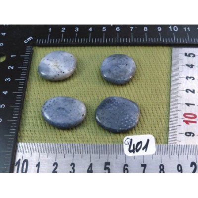 Corail Bleu lot de 4 Pierres Plates Mini 22g | Minéraux Paubrasil