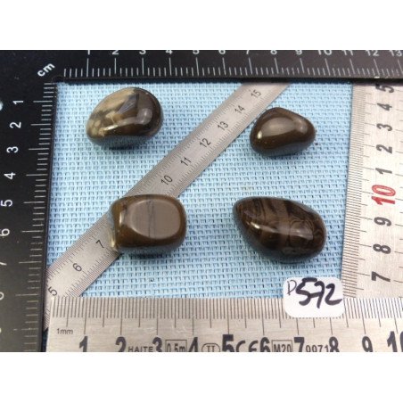 Silex Lot de 4 Pierres Roulées 50g | Minéraux Paubrasil