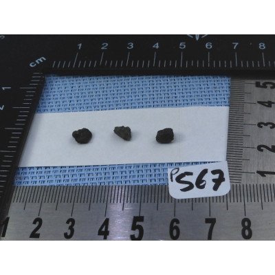 Alexandrite Lot de 3 Pierres Brutes 0gr35 | Minéraux Paubrasil