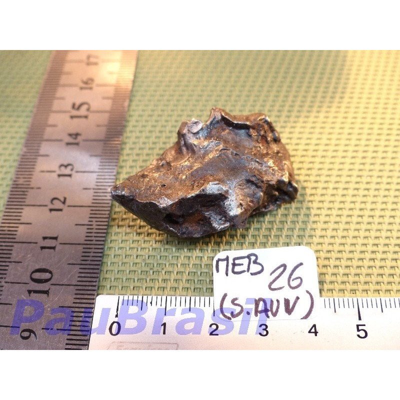 Météorite Sikhote Alin de 51 gr Q Extra