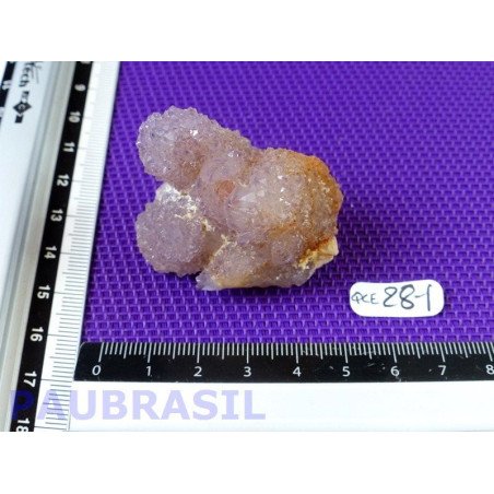 Quartz Cactus dit Esprit Q EXTRA 55g