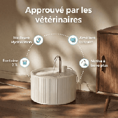 Fontaine à eau chat céramique - Ultra Silencieuse