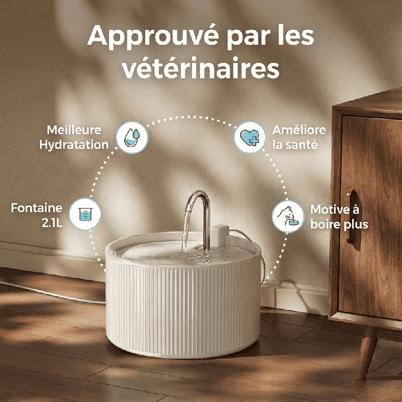Fontaine à eau chat céramique - Ultra Silencieuse
