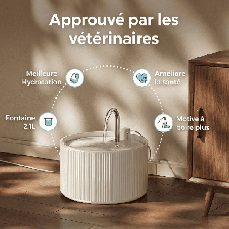 Fontaine à eau chat céramique - Ultra Silencieuse
