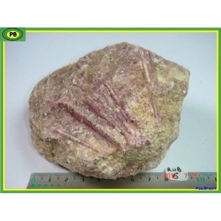 Rubellite, tourmaline rose de 600g du Brésil