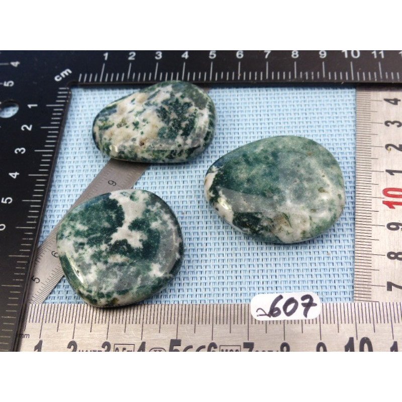 Agate Arborisée Lot de 3 Pierres Plates 71gr50 | Minéraux Paubrasil