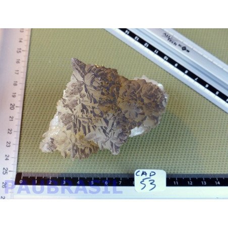 Calcite Jaune Noire du Chihuahua pierre brute RARE 330g
