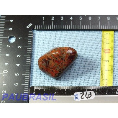 Jaspe Rouge Breschia en Pierre Roulée 40g