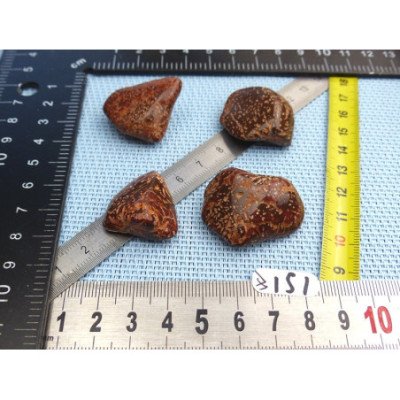 Jaspe Etoilé - Starburst Jasper Lot de 4 Pierres Roulées 39g | Minéraux Paubrasil