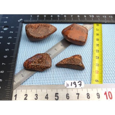 Jaspe Etoilé - Starburst Jasper Lot de 4 Pierres Roulées 54g | Minéraux Paubrasil