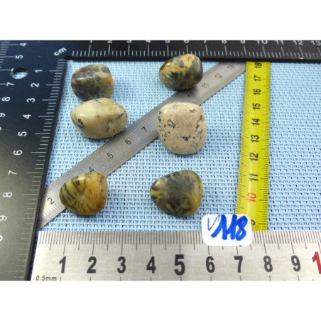 Opale à Dendrites Lot de 6 Pierres Roulées 32g | Minéraux Paubrasil