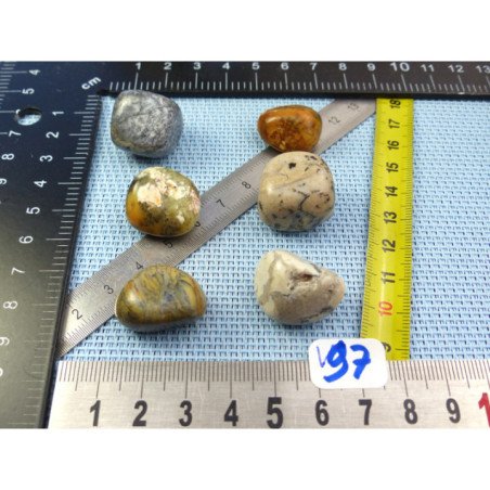 Opale à Dendrites Lot de 6 Pierres Roulées 42g | Minéraux Paubrasil
