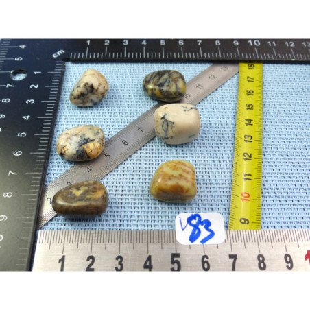 Opale à Dendrites Lot de 6 Pierres Roulées 29g | Minéraux Paubrasil