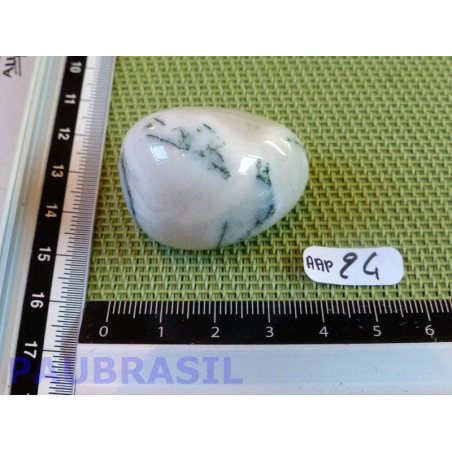 Agate arborisée - agate arbre pierre roulee Brésil 38gr