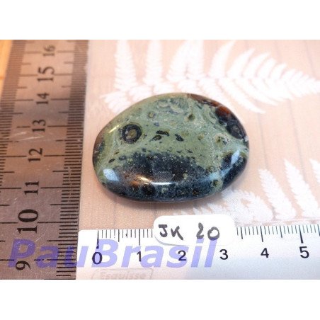 Jaspe Kambaba - Crocodile pierre plate 22gr20