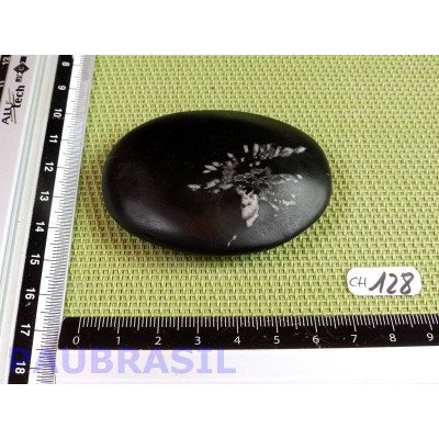 Pierre Chrysanthème Chrysanthemum stone 73gr
