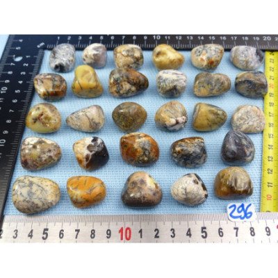 Opale à Dendrites Pierre Roulée à l unité de 12 à 16 gr | Minéraux Paubrasil