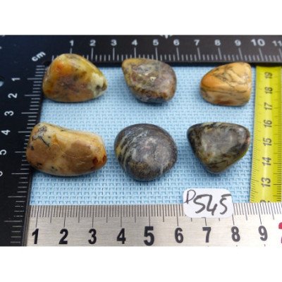 Opale à Dendrites Lot de 6 Pierres Semi Roulées 57g | Minéraux Paubrasil