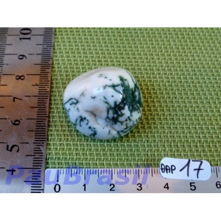 Agate arborisée - agate arbre pierre roulee Brésil 24gr