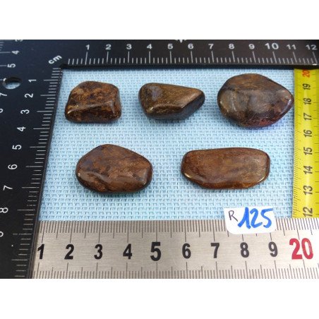 Bronzite Lot de 5 Pierres Roulées 57g | Minéraux Paubrasil
