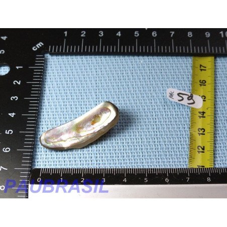 Nacre abalone en pétale de 8gr