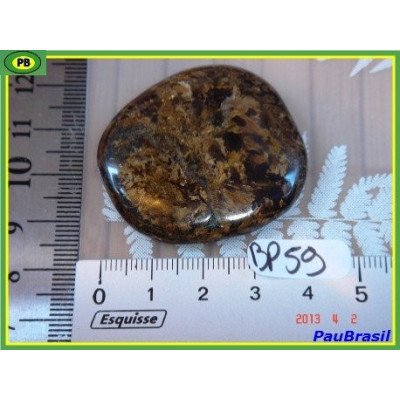 Bronzite en Pierre Plate 24g