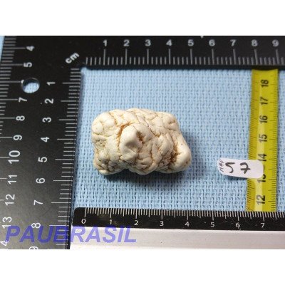Magnésite en Pierre Semi Roulée 39g