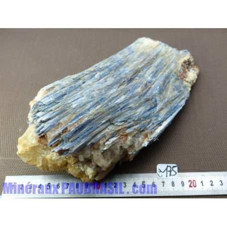 Kyanite - Cyanite - Disthène bleu 2514g pièce exceptionnelle