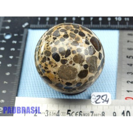 Sphère en Pudding Stone 306gr 65mm diamètre