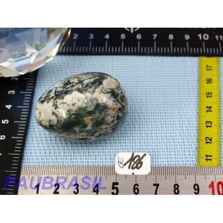 Oeuf Agate arborisée - agate arbre 82gr 35mm diametre 48mm long