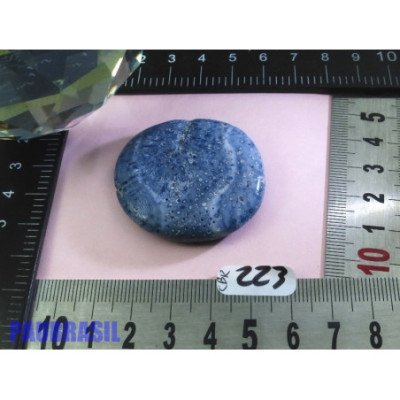 Corail Bleu en Pierre Plate 24g | Minéraux Paubrasil