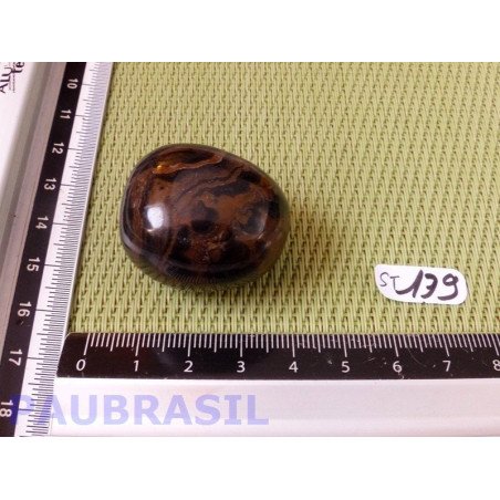 Stromatolite en pierre roulée 36g
