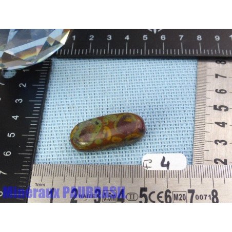 Fruit Jasper - Azubalite - Ajooba Jasper en Pierre Roulee Q Extra Extr