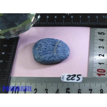 Corail Bleu en Pierre Plate 14gr50 | Minéraux Paubrasil