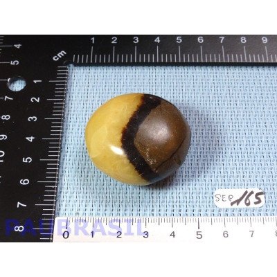 Galet poli en Septaria de 59g