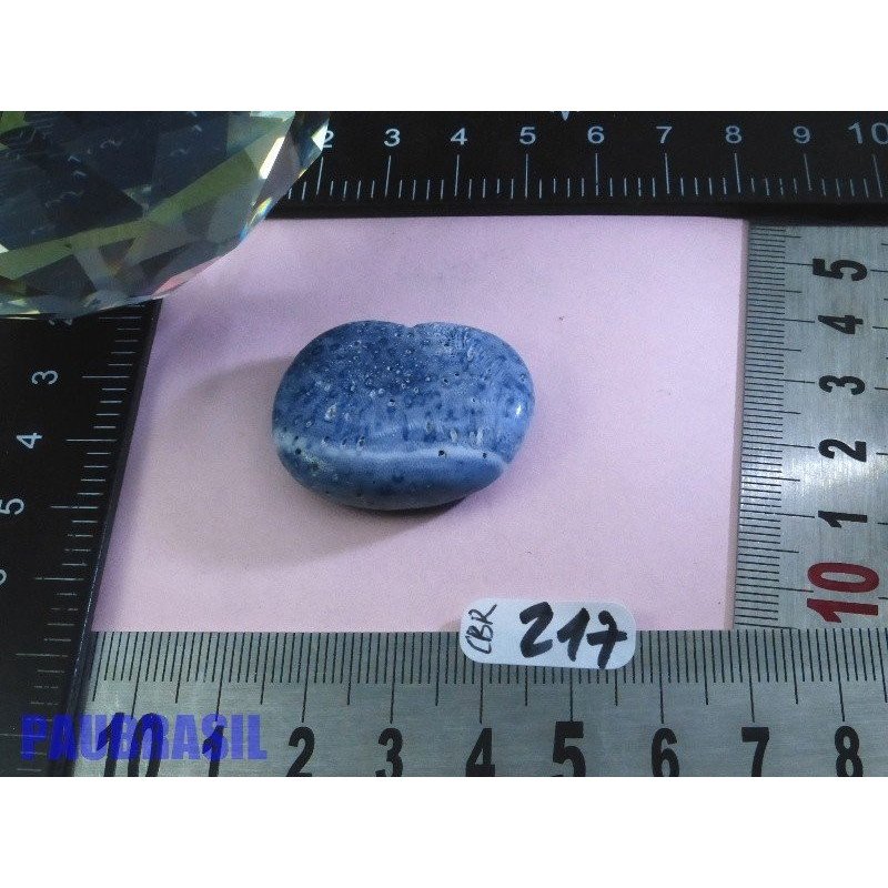 Corail Bleu en Pierre Plate Mini 13g