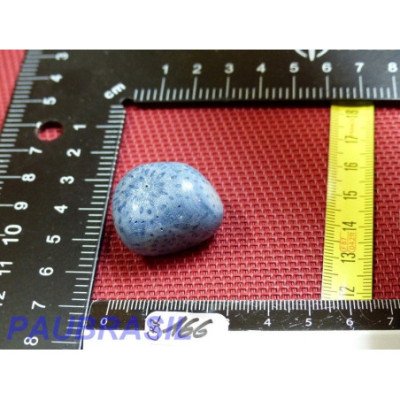 Corail Bleu en Pierre Roulée 21g
