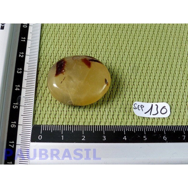 Septaria en tranche polie 18g