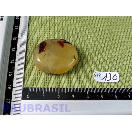 Septaria en tranche polie 18g