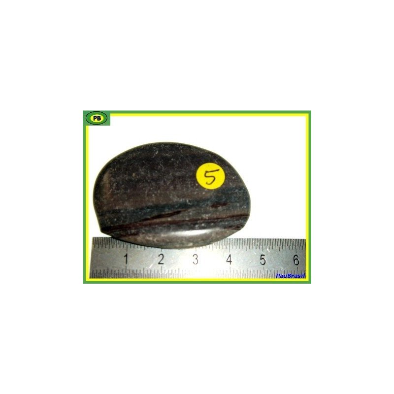 Bois fossilisé en pierre plate 20g