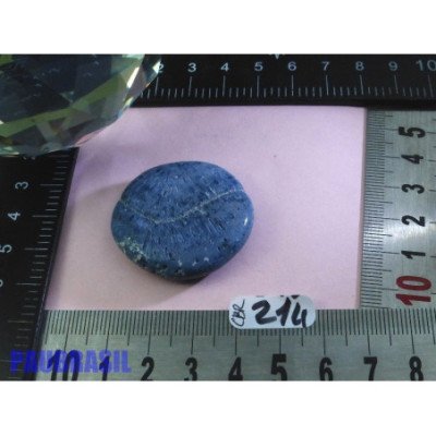 Corail Bleu en Pierre Plate 16gr50