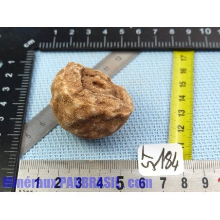Stromatolite en pierre brute 61g Maroc