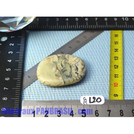 Opale à Dendrites en pierre plate Q Extra 16gr