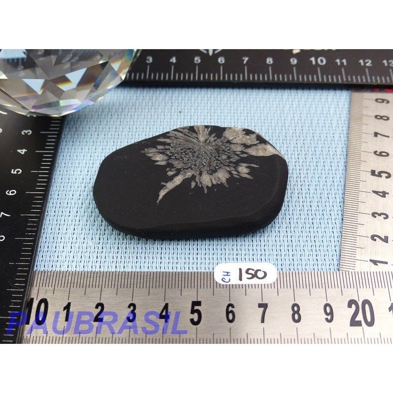 Pierre Chrysanthème Chrysanthemum stone 65gr