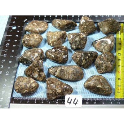 Agate Turitelle Pierre Roulée à l unité de 19 à 23 gr | Minéraux Paubrasil