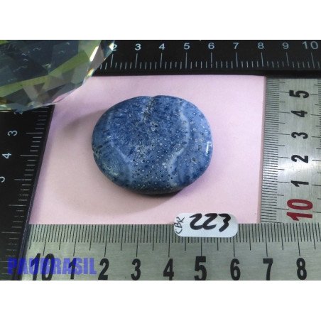 Corail Bleu en Pierre Plate 24g | Minéraux Paubrasil